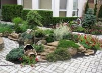 Plante de amenajare a teritoriului (peisaj) Plante de amenajare a teritoriului