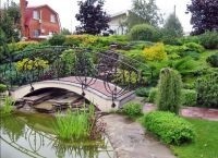 Plante de amenajare a teritoriului (proiectare) Plante de amenajare a teritoriului