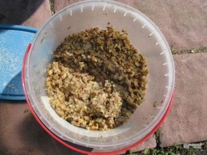 Crapi în iaz în țară în special cultivarea de raci, crap, fotografii și clipuri video (dacha) Crapi în iaz în țară în special cultivarea racilor, crap, foto și video