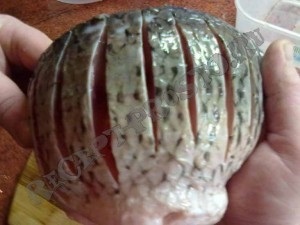 Rețetă și fotografie de gătit crap prăjit fără oase (fierte) Rețetă și fotografie gătit prăjit crap fără oase
