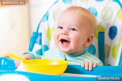 terciuri Evaluare fara lactate pentru prima alimentare (alimentare) terciuri Evaluare-lactate gratuit pentru prima alimentare