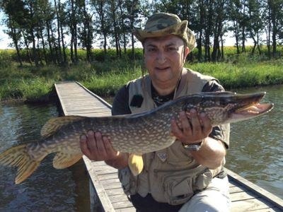halt Fisherman g () Fisherman halt g