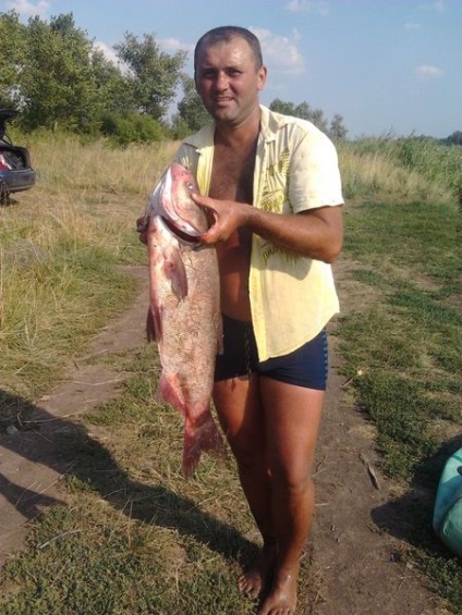 halt Fisherman g () Fisherman halt g