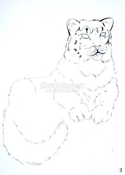 Desen acuarelă Snow Leopard (acuarele) Desenați Snow Leopard acuarelă