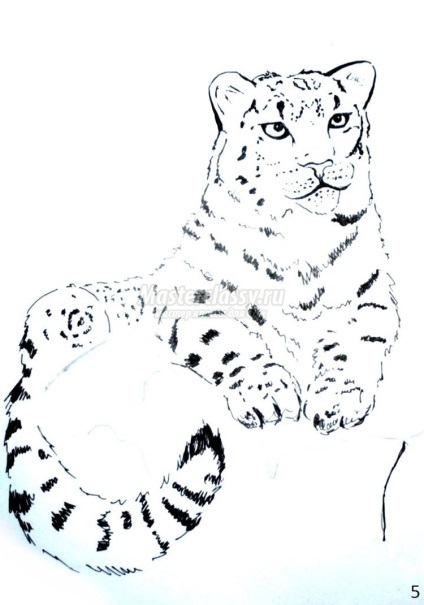 Desen acuarelă Snow Leopard (remiză) Desenați Snow Leopard acuarelă