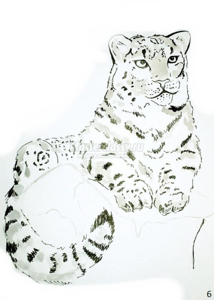 Desen acuarelă leopard de zăpadă (Figura acuarelă leopard de zăpadă) Desenați Snow Leopard acuarelă