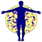 Rolul bacteriilor in viata unei persoane (umane) Rolul bacteriilor in viata unei persoane