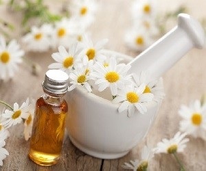 Hair Mușețel proprietăți și contraindicații utile, secrete de aplicare (proprietăți) Par Mușețel proprietăți și contraindicații utile, secrete de aplicare
