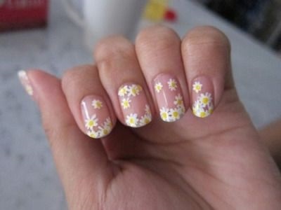 Daisies cu privire la modul de a picta unghiile, foto (poze) Daisies despre cum să picteze unghiile, fotografii