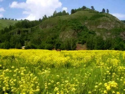 România ură mulți (relație) România urăsc multe