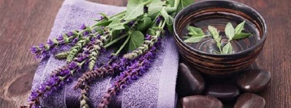 Salvia cerere în ginecologie (va deveni mai puțin) cerere Salvia în ginecologie