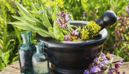 Sage este folosit in ginecologie (Apoi, este necesar să se infuza bulion) cerere Salvia în ginecologie