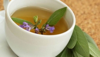 cerere Salvia în ginecologie (cerere) cerere Salvia în ginecologie