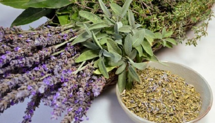 Sage este folosit in ginecologie (atunci bulionului este necesar) cerere Salvia în ginecologie