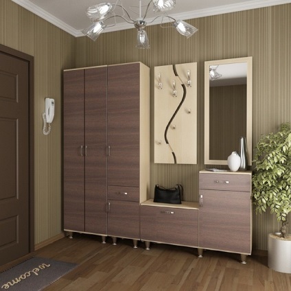 Dulap în hol 15 fotografie (coridor) Dulap în sala 15 fotografii