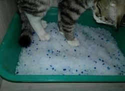 gunoi pisica silicagel (umplere pisicuta gunoi) Silica gel pisică așternut