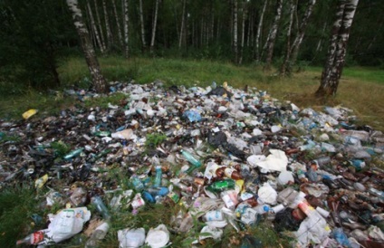 Cât de mulți ani descompun diferite tipuri de deșeuri, citit (mult) Cât de mulți ani descompun diferite tipuri de deșeuri, citește