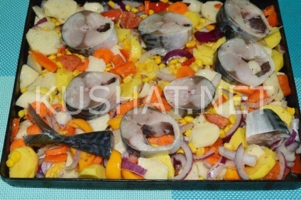 Macrou cu legume în cuptor (macrou cu legume în cuptor) Macrou cu legume la cuptor