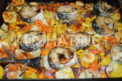 Macrou cu legume în cuptor (macrou cu legume în cuptor) Macrou cu legume la cuptor