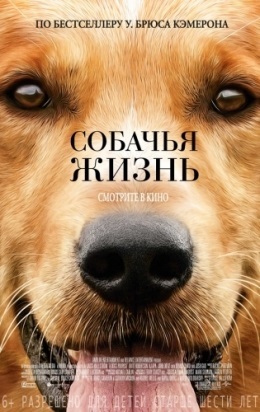 Uita-te la filme online gratuit de bună calitate (on-line) Uita-te la filme online gratuit de bună calitate