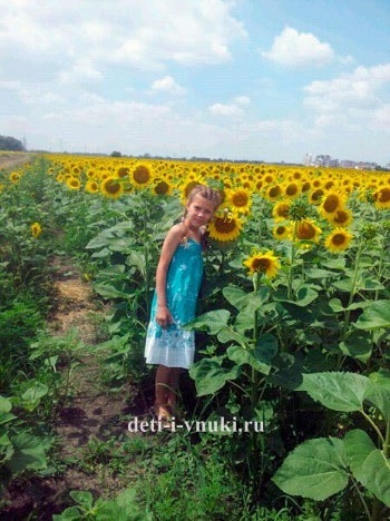 Solar Flower (floare) floare solară
