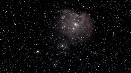 Orion (constelație) Orion