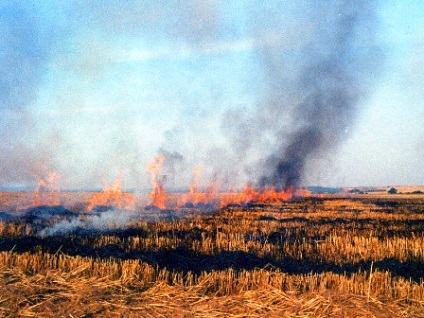 Prairie foc (cauza incendii de stepă) prerie foc