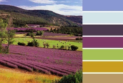 Stilul Provence în interiorul apartamentului (foto) (Provence) Stilul Provence în interiorul apartamentului (foto)