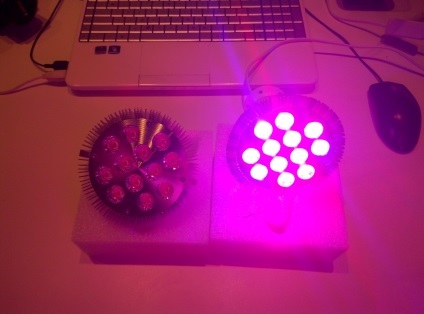 LED fitolamp pentru plante cu propriile lor mâini (fitolamp) LED fitolamp pentru plante cu propriile lor mâini