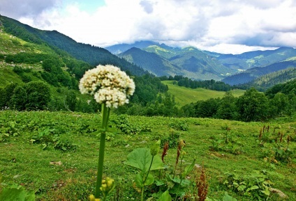 Ochii lui (Fotografii) Cu ochii mei