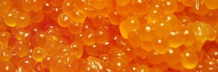 Tabele de proteine, grăsimi, carbohidrați (grăsimi) Tabele proteine, grăsimi, carbohidrați
