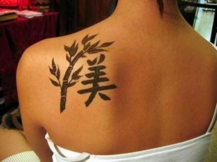tatuaje henna (biotatu) cum să facă, cum să rasa pentru tatuaje henna (biotatu) tatuaje henna (biotatu) cum se face, cum se inmultesc pentru tatuaje henna