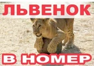 Teoria conspirației unei mari - site-ul Crimeea () Teoria conspirației unei mari - site-ul Crimeea