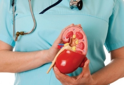 Transplantul de organe în Israel, prețurile pentru răspunsurile de diagnostic și tratament (mai medicul comentarii) Transplantul de organe în Israel, prețurile pentru diagnostic și tratament comentarii