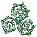 Triskele - Celții (Triskele) Triskele - celtii