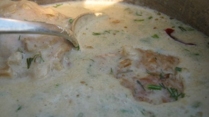 Pui înăbușită cu crema (crema de pui înăbușită) Carne de pui cu smântână