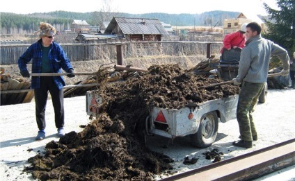 Fertilizare lumanarica cum să facă îngrășământ, tipuri de aplicatii (Cook) Fertilizare lumanarica modul de a face îngrășăminte, tipuri de aplicatii