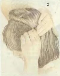 Styling și permanentul părului (de sănătate> păr) (cu perii) Styling și permanentul părului (de sănătate> păr)