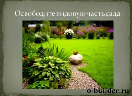 Aranjament de paturi de flori și paturi de flori în țară cu propriile mâini - o lecție grădinar (dacha) Aranjament de paturi de flori și paturi de flori în țară cu propriile mâini - o lecție Gardener