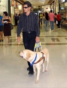 Ducând o viață (viață) Leading Life