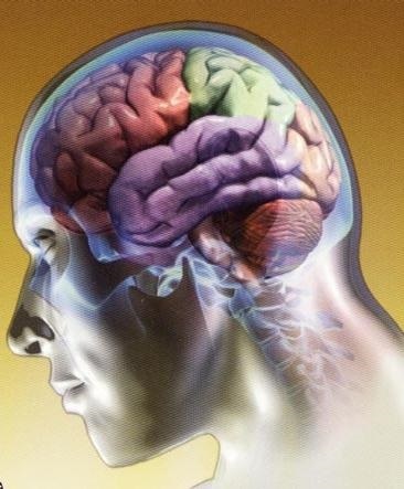 Tipuri de memorie umane (tipuri de memorie de tipuri de memorie umane de tipuri de memorie de memorie) Tipuri de memorie umane