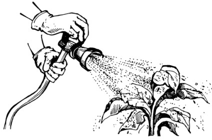 hrănire foliară (de aplicare foliară) hrănire foliară