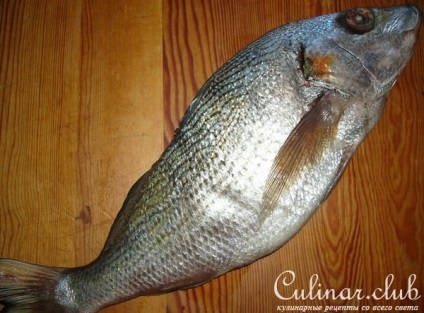 prostipoma Delicious (țelină) prostipoma încântătoare