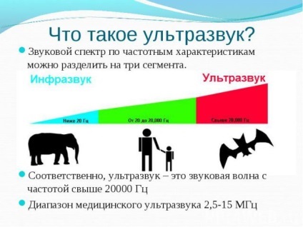 Nociv în cazul în ecografie în timpul sarcinii fătului la începutul sarcinii (dăunătoare) Nociv dacă Uzi în timpul sarcinii la fat la începutul sarcinii