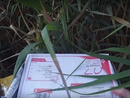 În regiunea Rostov a găsit parcelele răpitorul - mail România - sondaj - Shakhtinsk știri din ziar (regiune) În regiunea Rostov a găsit parcelele răpitorul - mail România - sondaj - Shakhtinsk stiri din ziare