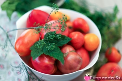 Yadrena roșii cu tambur fără tobe - panda casa (tomate murate) Yadrena roșii tambur fără tobe - casa panda