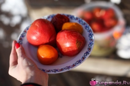 Yadrena roșii cu tambur fără tobe - casa Panda (tomate cele mai gustoase) Yadrena roșii tambur fără tobe - casa panda