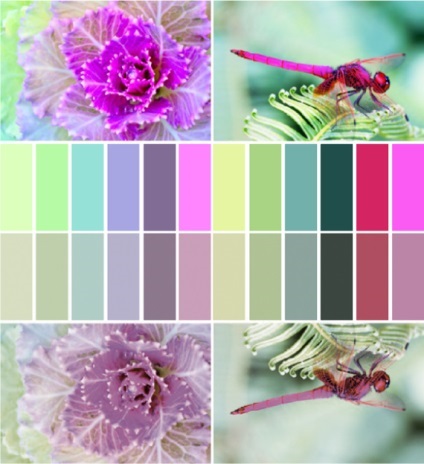 luminozitate de culoare, lookcolor (culoare) luminozitatea culorilor, lookcolor