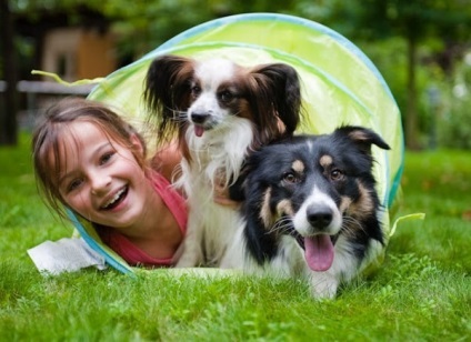 De ce ar fi o persoană de companie (persoană pentru animale de companie) De ce ar fi o persoană pentru animale de companie