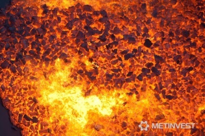 Plante Donbass (plante) plante din Donbass